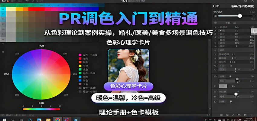 PR调色入门到精通:从色彩理论到案例实操,婚礼/医美/美食多场景调色技巧-资源宝库