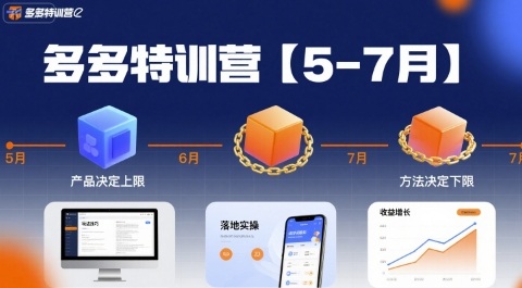 多多特训营，产品决定上限，方法决定下限，各种玩法技巧落地实操(更新)-资源宝库