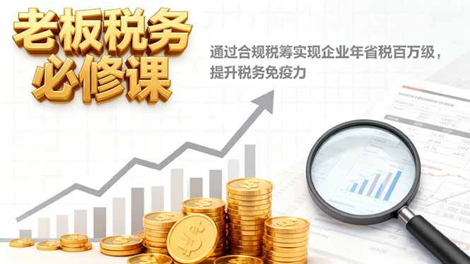 老板税务必修课,通过合规税筹实现企业年省税百万级,提升税务免疫力-资源宝库