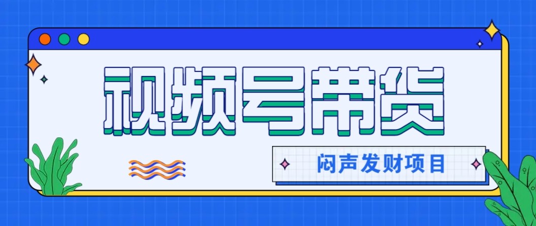 微信视频号带货项目,轻松日赚赚2000+,这个挣钱入口很多伙伴都在闷声发财-资源宝库