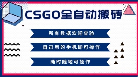 CSGO全自动搬砖，年底钱回家好项目，当天可拿到结果，新手小白轻松月入1W+【揭秘】-资源宝库