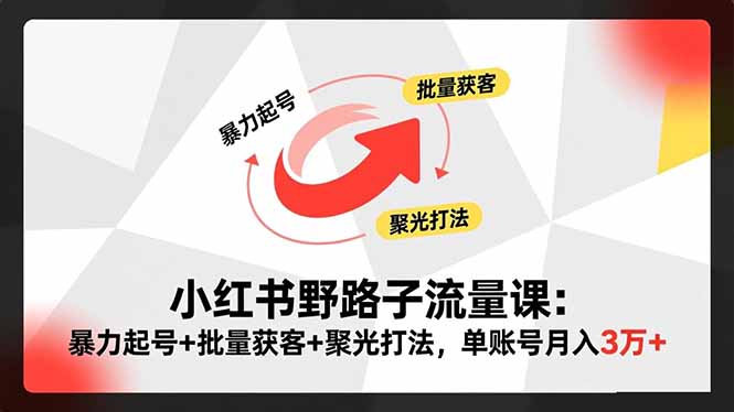小红书野路子流量课:暴力起号+批量获客+聚光打法,单账号月入3万+-资源宝库