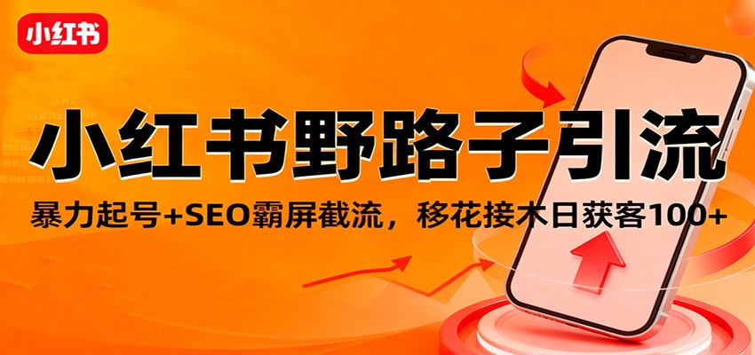 小红书野路子引流,暴力起号+SEO霸屏截流,移花接木日获客100+-资源宝库