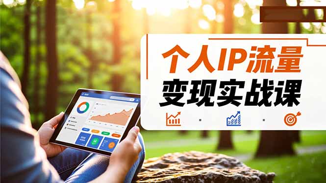 个人IP流量变现实战课，涵盖多平台引流、打造个人IP并实现稳定流量变现-资源宝库