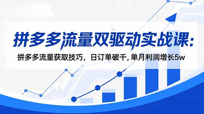 拼多多流量双驱动实战课:拼多多流量获取技巧,日订单破千,单月利润增长5w-资源宝库