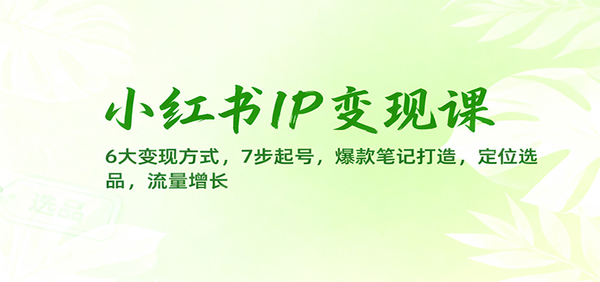 小红书IP变现课：6大变现方式，7步起号，爆款笔记打造，定位选品，流量增长-资源宝库
