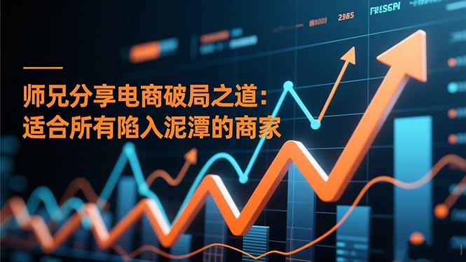 师兄分享电商破局之道：适合所有陷入泥潭的商家-资源宝库