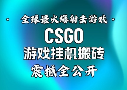 【年底大揭秘】基于全球最火爆的射击CSGO游戏挂G搬砖,日入5张+,震撼公开-资源宝库