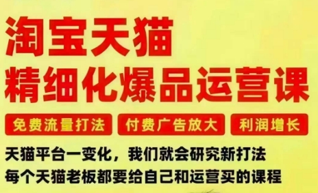 淘宝天猫精细化爆品运营课,免费流量打法-付费广告放大-利润增长-三大核心痛点,一次全部解决-资源宝库