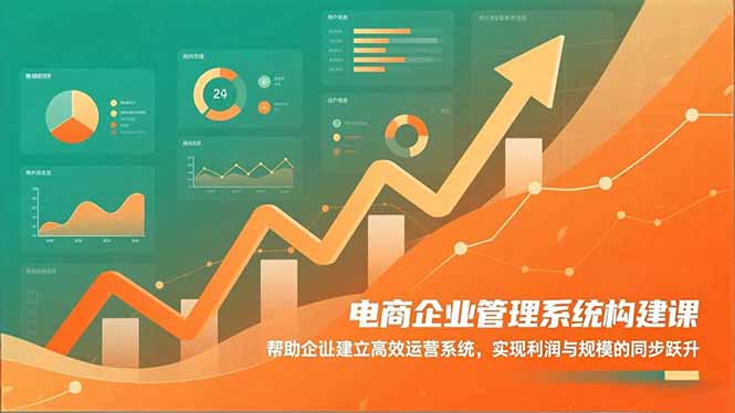 电商企业管理系统构建课：帮助企业建立高效运营系统，实现利润与规模的同步跃升-资源宝库