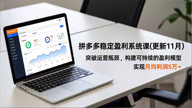拼多多稳定盈利系统课(更新11月-资源宝库