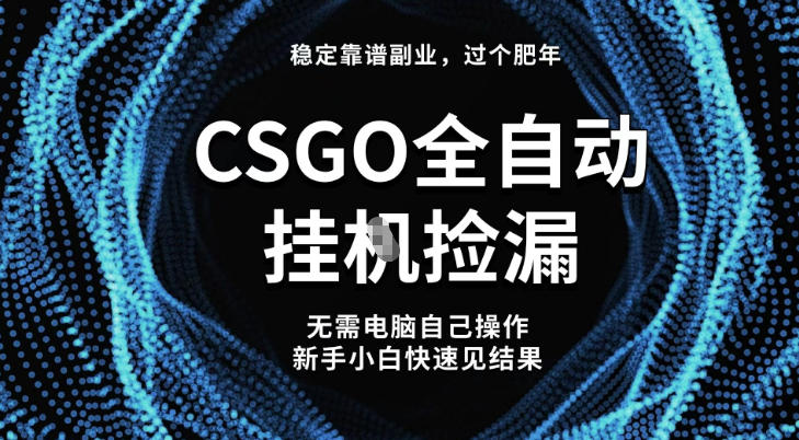 【稳定副业】全球最热门游戏CSGO全自动捡漏，最新玩法，新手小白日入5张+【揭秘】-资源宝库