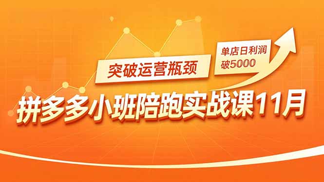 拼多多小班陪跑实战课11月,强付费矩阵、原价活动、暗券引流,突破运营瓶颈,单店日利润破5000-资源宝库
