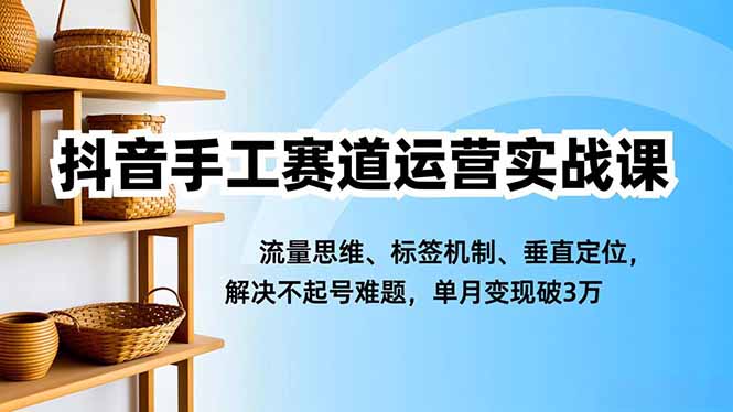 抖音手工赛道运营实战课,流量思维、标签机制、垂直定位,解决不起号难题,单月变现破3万-资源宝库