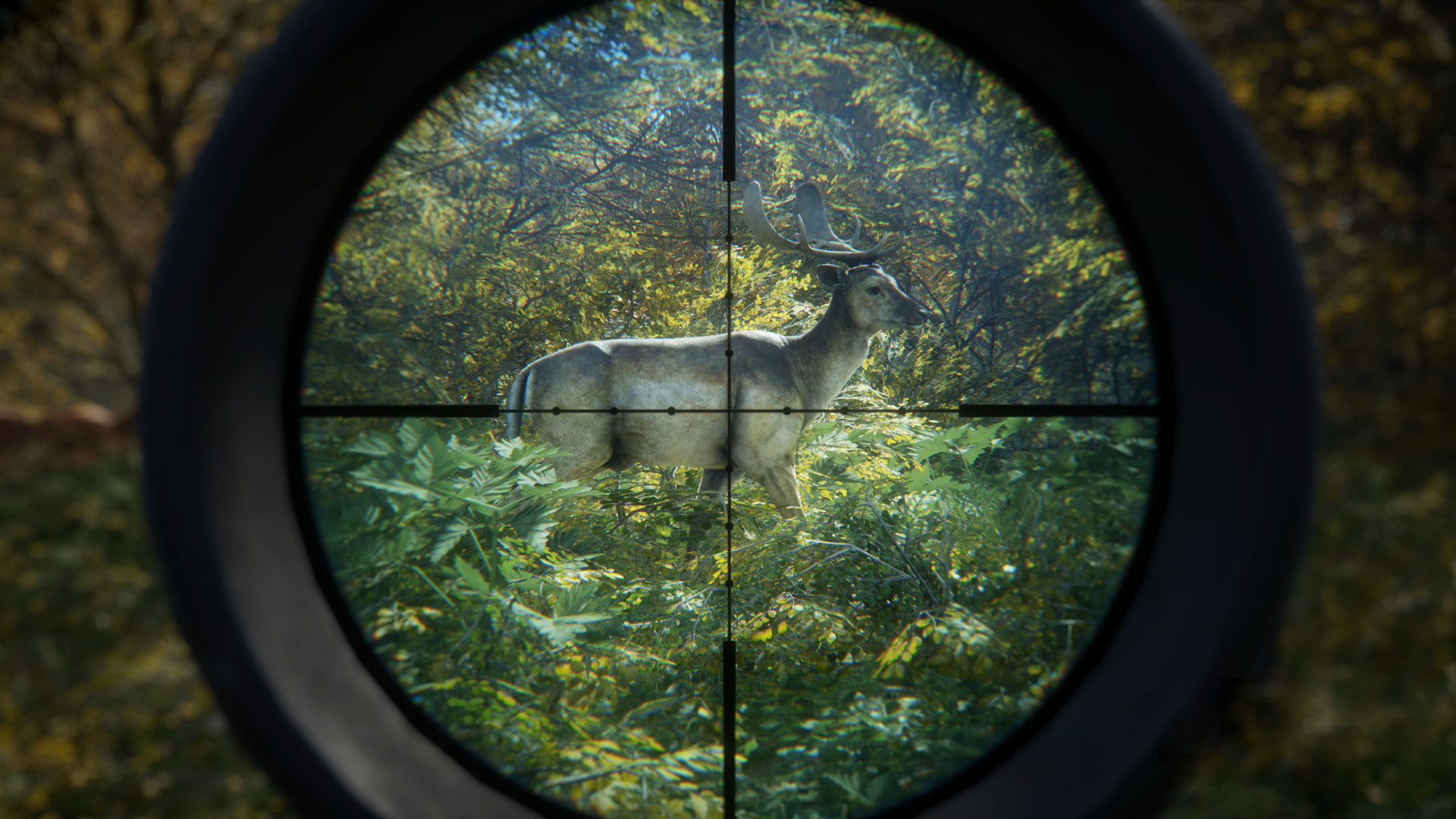 《猎人:荒野的召唤/theHunter: Call of the Wild》PC中文版下载-含v3101875-资源宝库