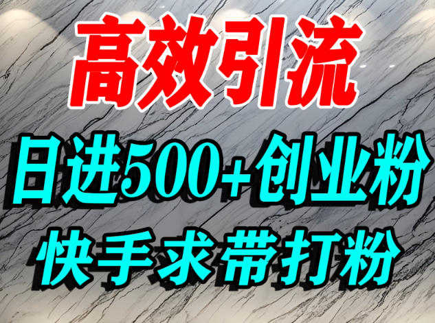 怎么打创业粉?快手求带视角精准引流创业粉,宝妈、学生群体日进500+精准流量-资源宝库
