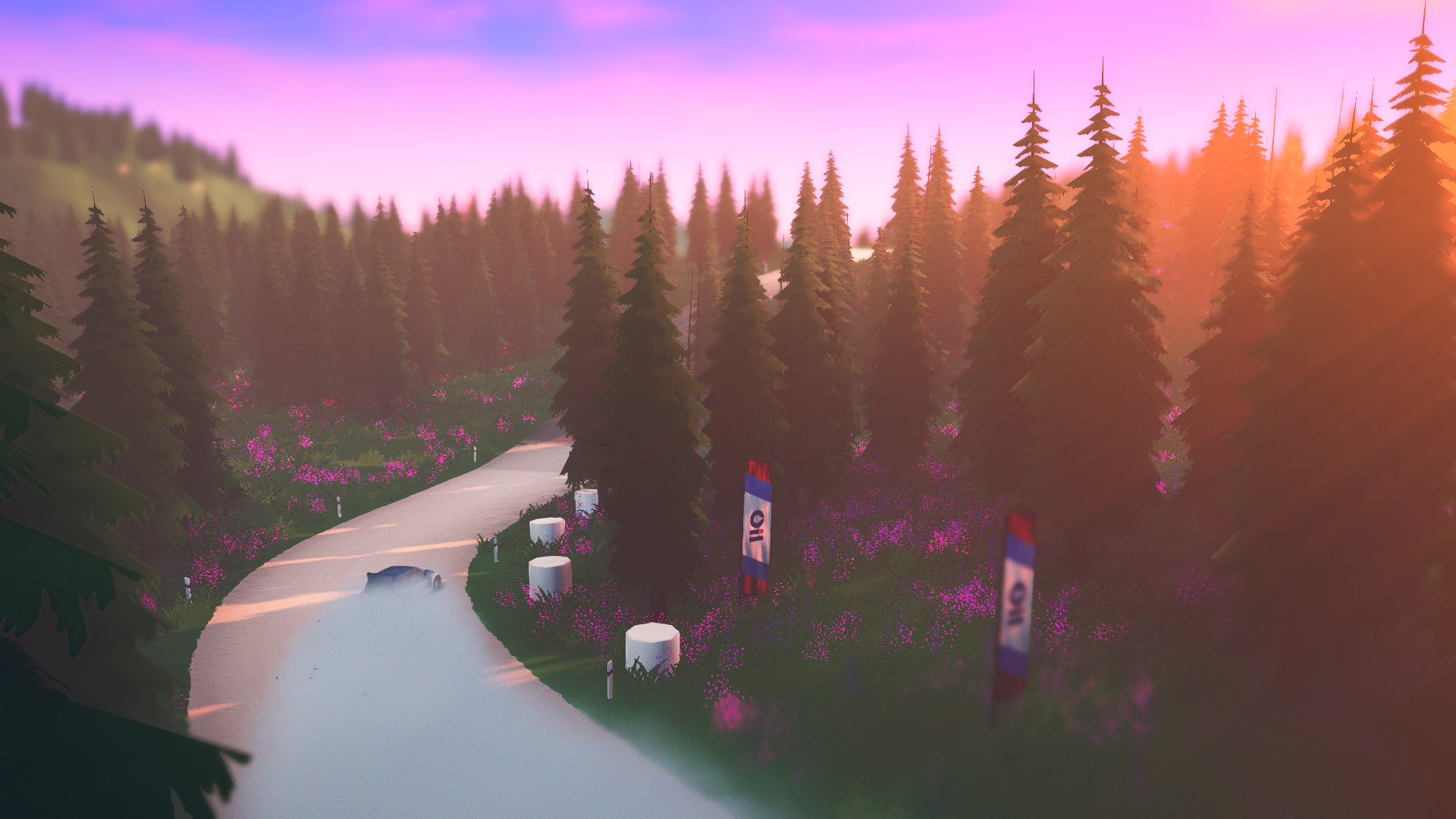 《拉力赛艺术 art of rally》Switch中文版NSZ下载 – 含1.1.9补丁-资源宝库