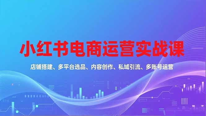 小红书电商运营实战课,店铺搭建、多平台选品、内容创作、私域引流、多账号运营等玩法-资源宝库