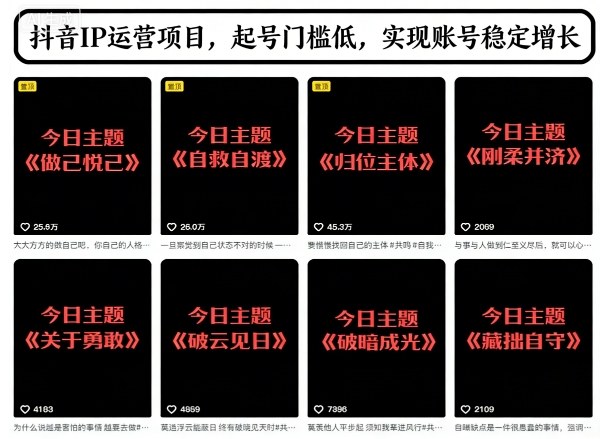 抖音IP运营项目，抖音今日主题玩法，起号门槛低，实现账号稳定增长-资源宝库