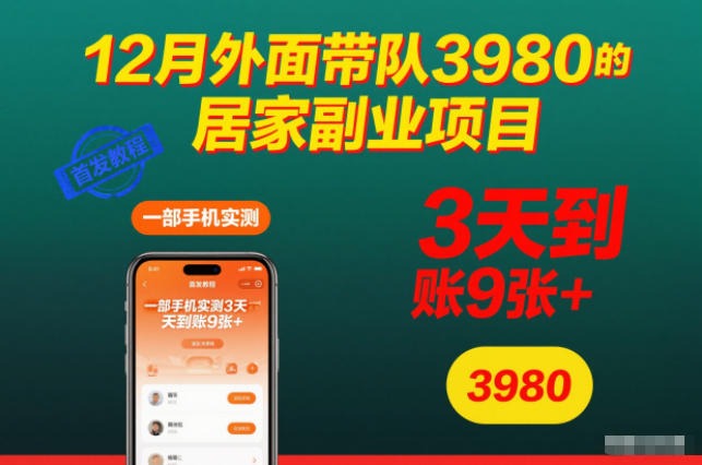 12月外面带队3980的居家副业项目,一部手机实测3天到账9张+,首发教程【揭秘】-资源宝库