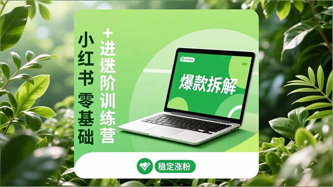 小红书零基础+高阶训练营:安全养号、爆款拆解、长效运营,实现稳定涨粉与变现-资源宝库