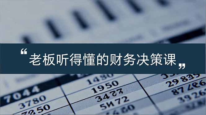 老板能听得懂的财务决策课,报表解读、数据洞察、风险识别,用财务驱动业务增长-资源宝库