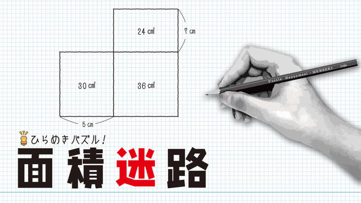 《闪烁的拼图 面积迷宫 MENSEKI Area maze puzzles》Switch英日文版NSZ下载-资源宝库
