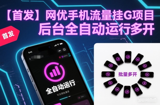 【首发】网优手机流量挂G项目，后台全自动运行，可无限批量多开【揭秘】-资源宝库
