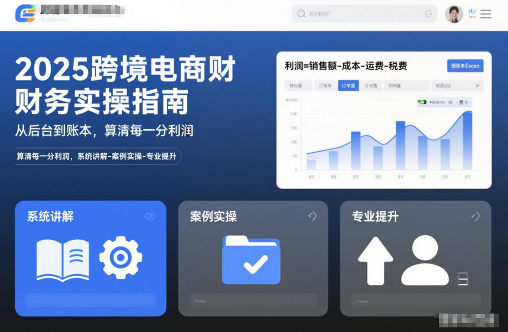 2025跨境电商财务实操指南,从后台到账本,算清每一分利润,系统讲解-案例实操-专业提升-资源宝库