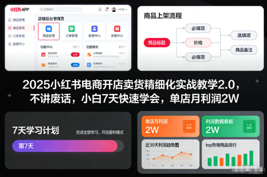 2025小红书电商开店卖货精细化实战教学2.0，不讲废话，小白7天快速学会，单店月利润2W-资源宝库