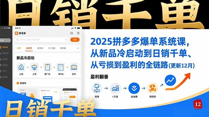 2025拼多多爆单系统课,从新品冷启动到日销千单、从亏损到盈利的全链路(更新12月-资源宝库