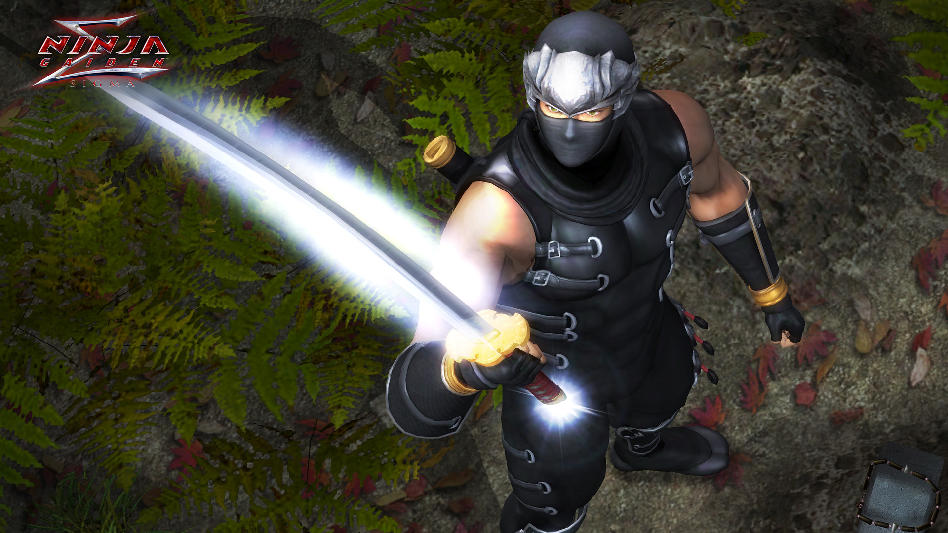 《忍者龙剑传:大师合集/NINJA GAIDEN: Master Collection》PC中文版下载-含v1.0.0.3-资源宝库