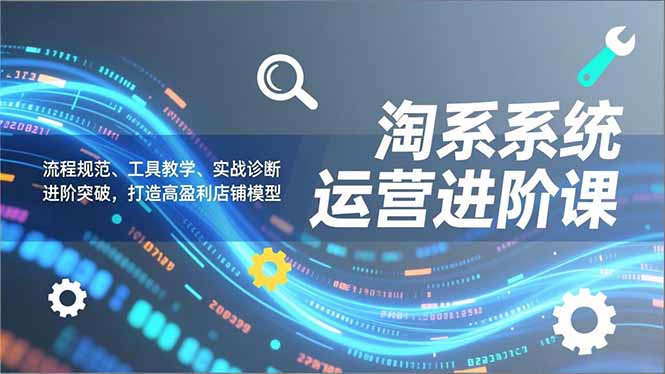 淘系系统运营进阶课2.0,流程规范、工具教学、实战诊断,进阶突破,打造高盈利店铺模型-资源宝库