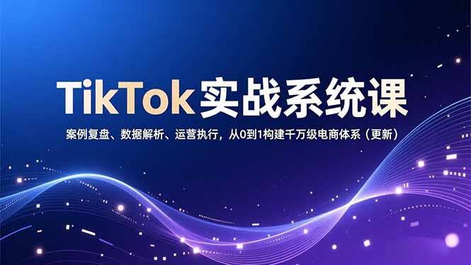 TikTok实战系统课，案例复盘、数据解析、运营执行，从0到1构建千万级电商体系(更新-资源宝库