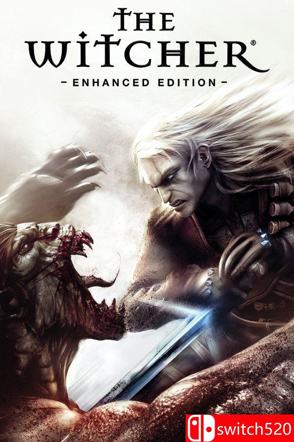 《巫师加强版（The Witcher: Enhanced Edition）》官方中文 v1.5 [繁体/英文]-资源宝库