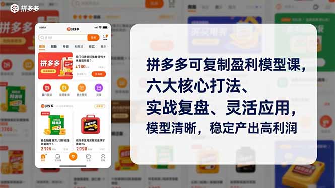拼多多可复制盈利模型课,六大核心打法、实战复盘、灵活应用,模型清晰,稳定产出高利润-资源宝库