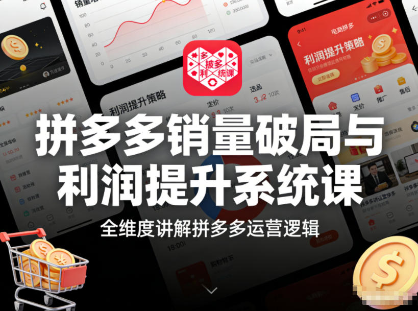 拼多多销量破局与利润提升系统课，全维度讲解拼多多运营逻辑-资源宝库