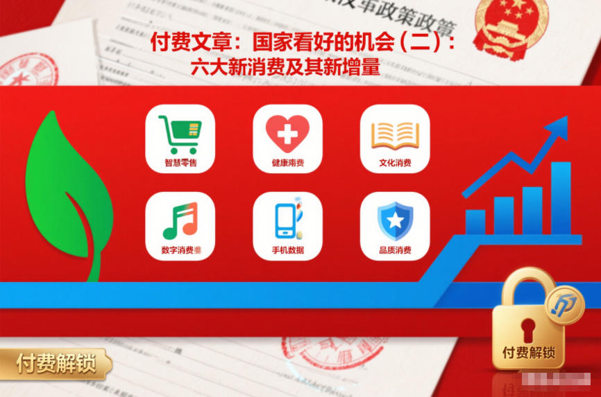 付费文章:国家看好的机会(二):六大新消费及其新增量-资源宝库