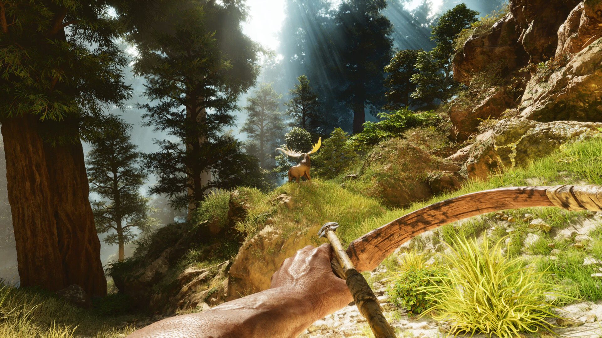 PC游戏《方舟: 生存飞升/ARK: Survival Ascended》中文v77.54下载-资源宝库