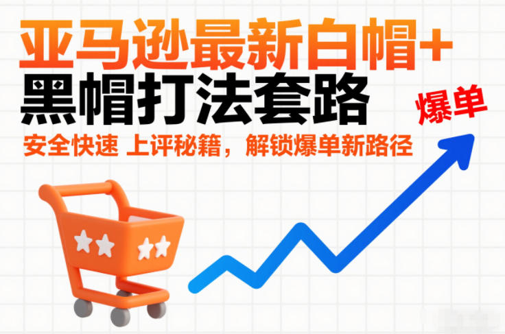 亚马逊最新白帽+黑帽打法套路,安全快速上评秘籍,解锁爆单新路径-资源宝库