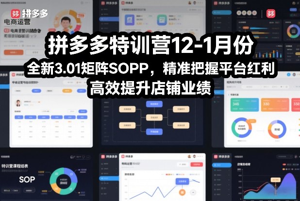 拼多多特训营12-1月份,全新3.01矩阵Sop,精准把握平台红利,高效提升店铺业绩-资源宝库