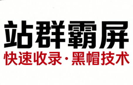 SEO野路子实战全集：快速收录、站群霸屏、黑帽技术-资源宝库