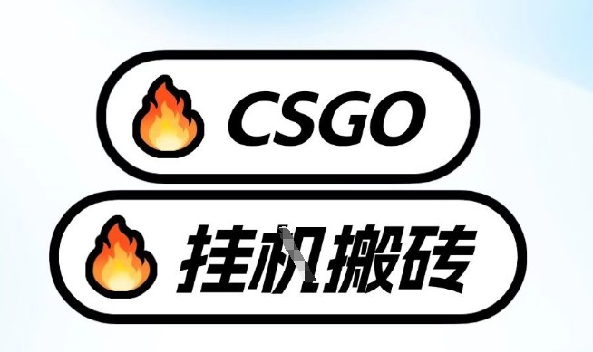 真全网独家CSGO挂G，最新玩法,单日捡漏1K+，不用电脑，不用打游戏【揭秘】-资源宝库