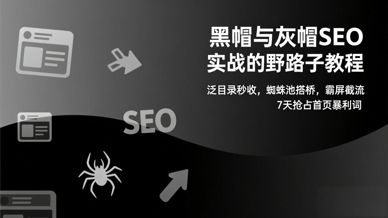 黑帽与灰帽SEO实战的野路子教程：泛目录秒收，蜘蛛池搭桥，霸屏截流，7天抢占首页暴利词-资源宝库