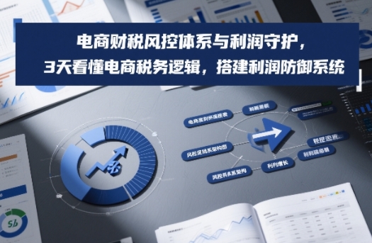 电商财税风控体系与利润守护，3天看懂电商税务逻辑，搭建利润防御系统-资源宝库