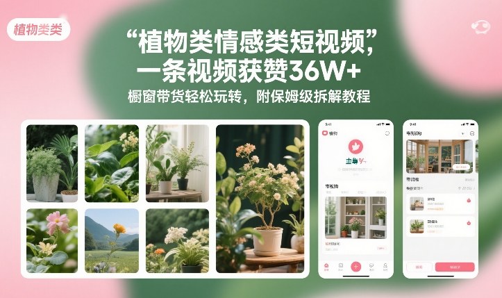 植物类情感类短视频，一条视频获赞36W+，橱窗带货轻松玩转，附保姆级拆解教程-资源宝库