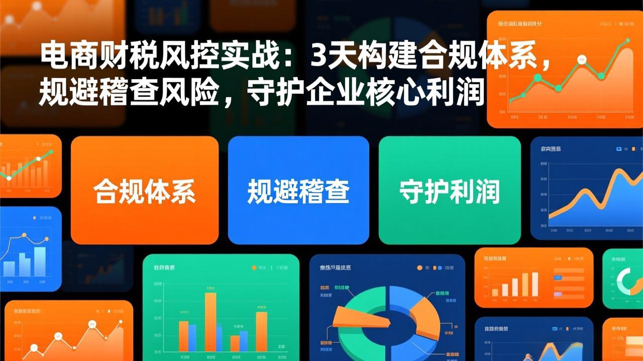 电商财税风控实战：3天构建合规体系，规避稽查风险，守护企业核心利润-资源宝库