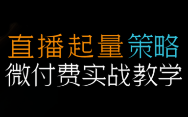 半野老师·直播带货起量与微付费必学课视频号(更新2026)-资源宝库