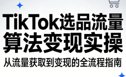 TikTok选品流量算法变现实操-资源宝库