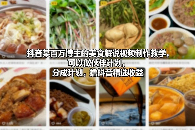 抖音某百万博主的美食解说视频制作教学，可以做伙伴计划，分成计划，撸抖音精选收益(更新)-资源宝库